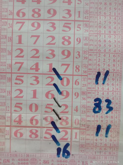 21138期排5预测 海南特产大师的规律图与亦非云互联网元围棋的交织