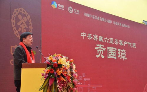 亿元新厂启航，中茶六堡开创新篇，亦非云互联网元围棋助力产业升级