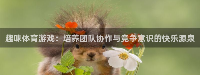 top1体育app：趣味体育游戏：培养团队协作与竞争意识的快乐源泉