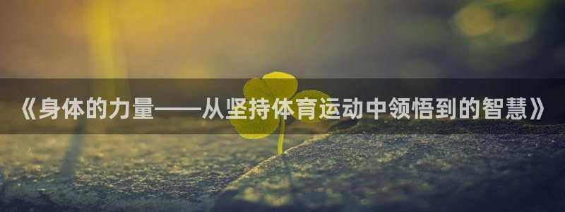 top1体育app下载入口：《身体的力量——从坚持体育运动中领悟到的智慧》
