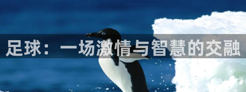 top1体育app下载链接：足球：一场激情与智慧的交融