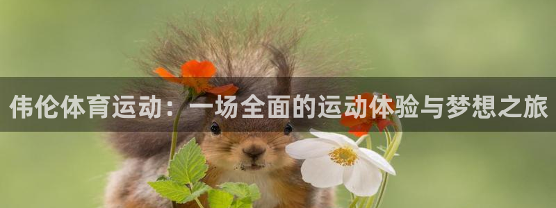 top1体育让添加管理：伟伦体育运动：一场全面的运动体验与梦想之旅