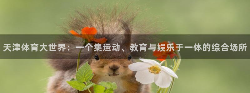 top1体育网站：天津体育大世界：一个集运动、教育与娱乐于一体的综合场所