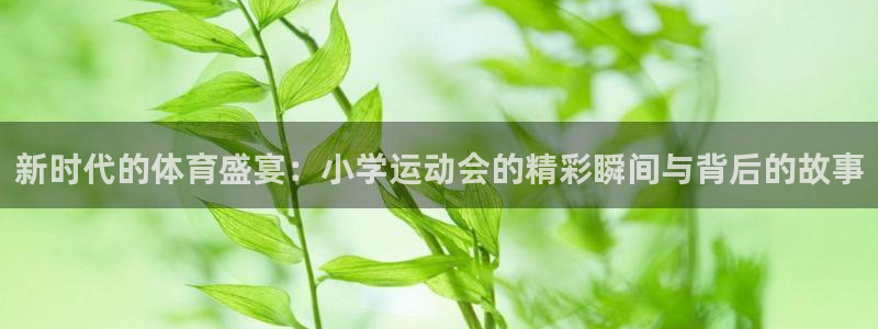 TOP1体育大水台：新时代的体育盛宴：小学运动会的精彩瞬间与背后的故事