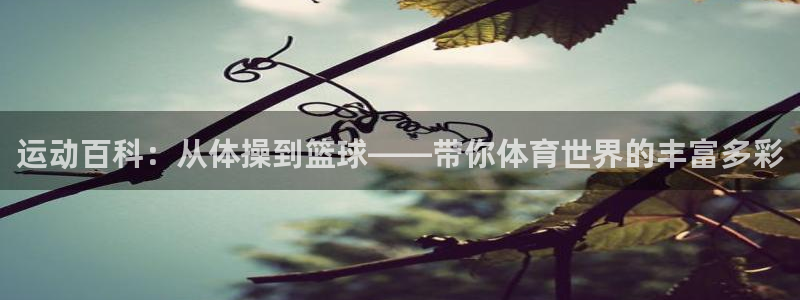 Top1体育平台入口：运动百科：从体操到篮球——带你体育世界的丰富多彩