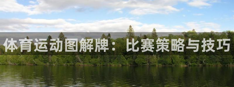 Top1体育官网：体育运动图解牌：比赛策略与技巧