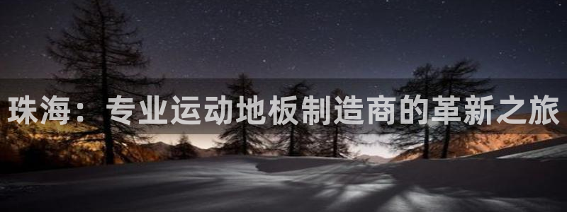 TOP1体育大水台：珠海：专业运动地板制造商的革新之旅
