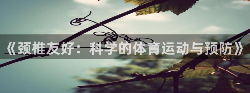 Top1体育平台入口：《颈椎友好：科学的体育运动与预防》